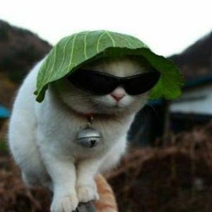 Meet your Posher, Rye_bread